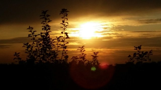 2923mN3pnd7PfoCxi33KnbGwgxk38GRAXbQxWqUqyS2whJiNPKNTX8wYvsbEXxe4jzhxqrmd3WJpCotBPPpU7UeEKzBFT5y548BGMJvcWcWP1x.jpg