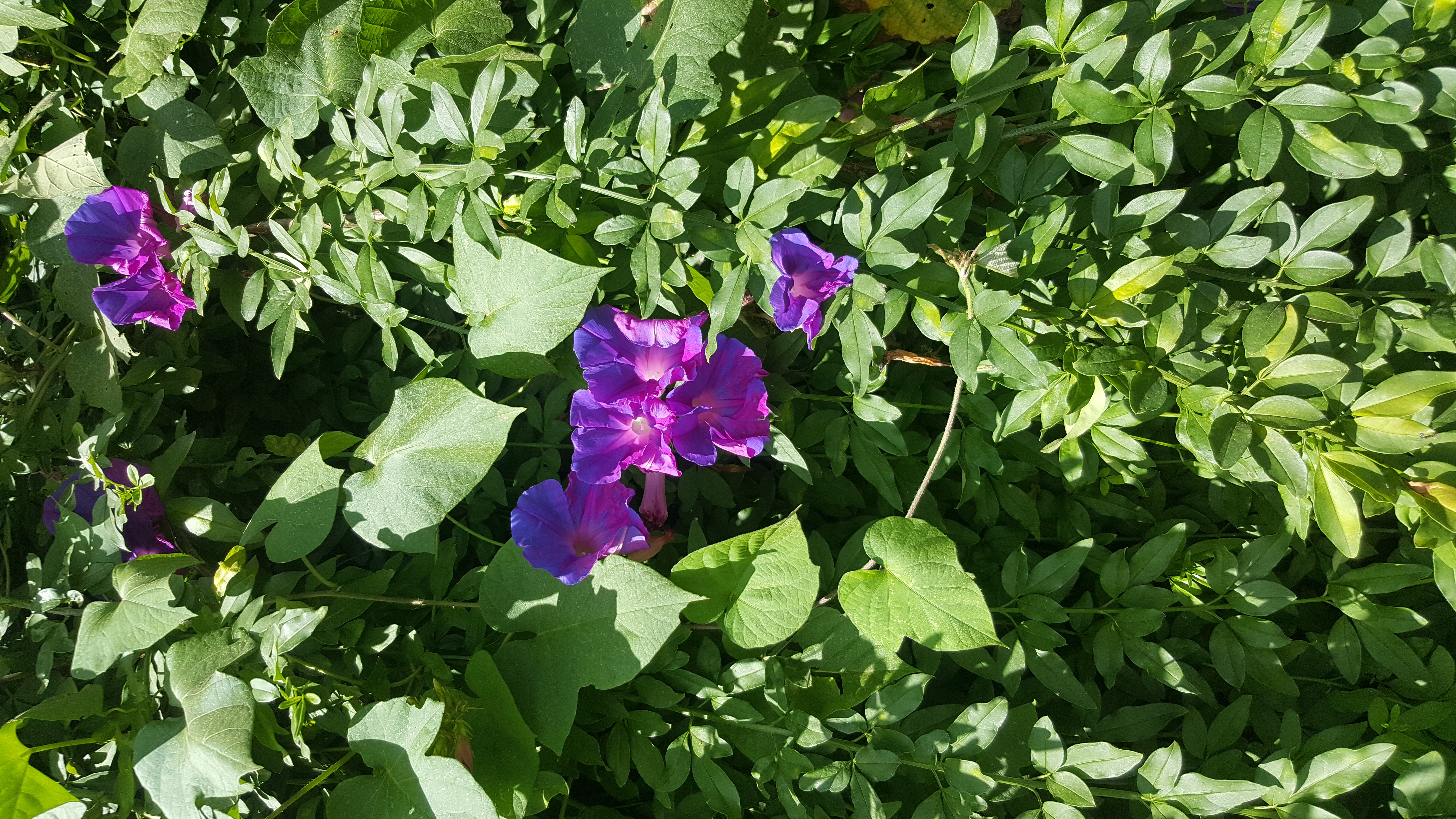 20190317_140010.jpg