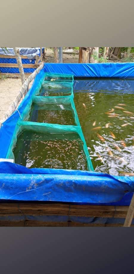 received_504869900187537.jpeg