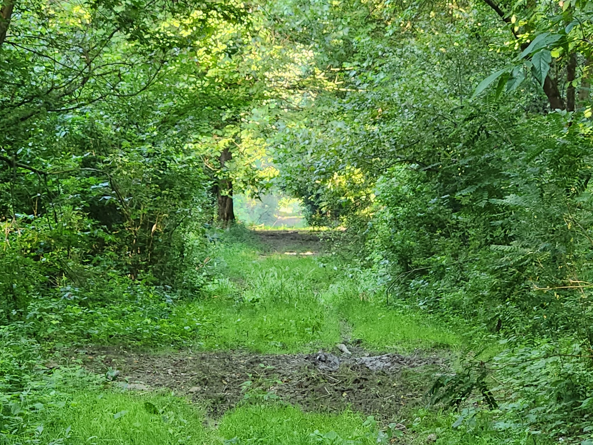 Amazin googd morning in Liberland 5.jpg