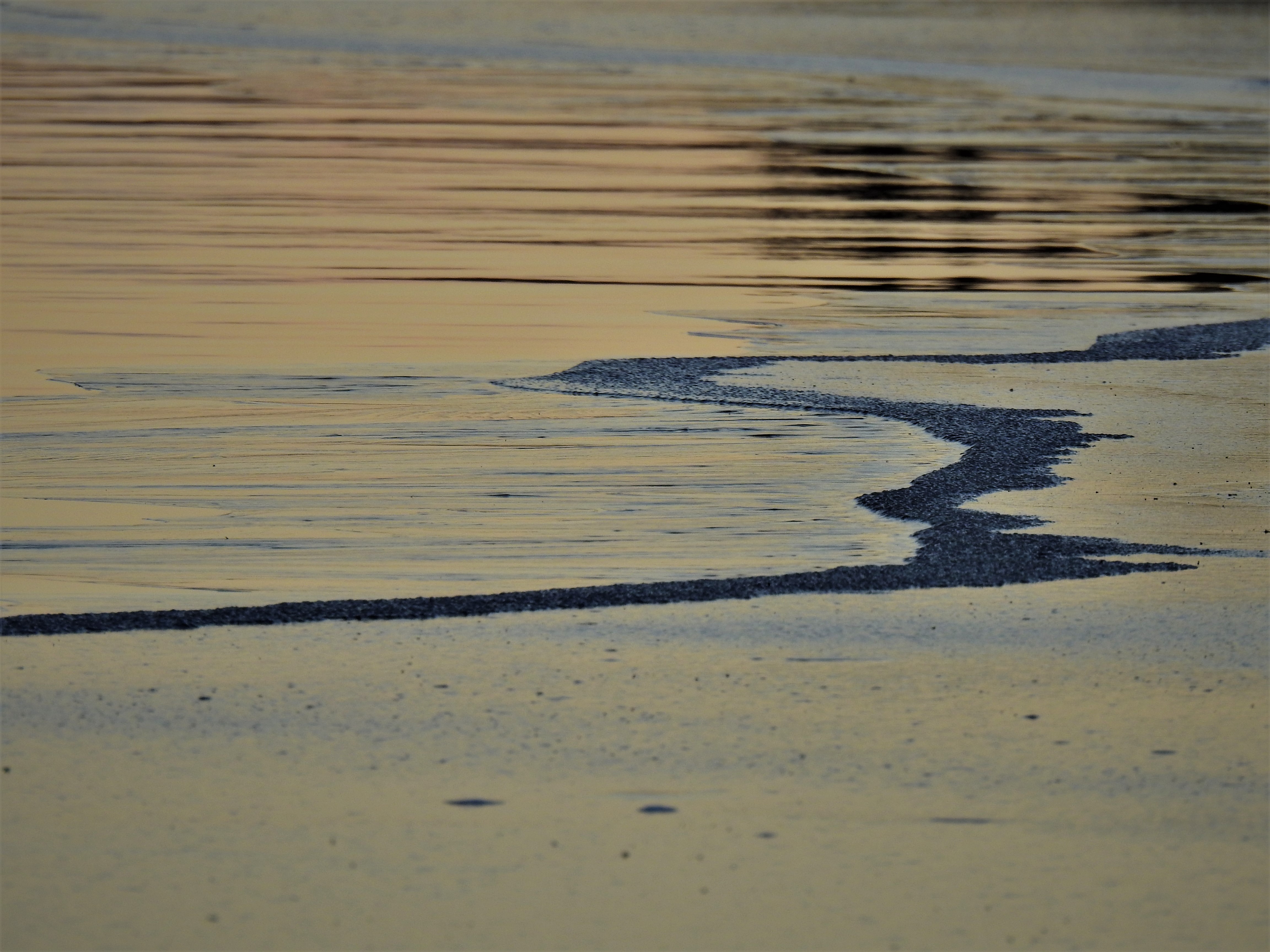 DSCN41932.jpg
