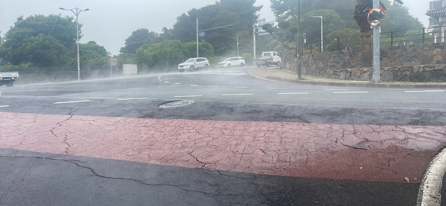 KakaoTalk_20250520_164614345.jpg