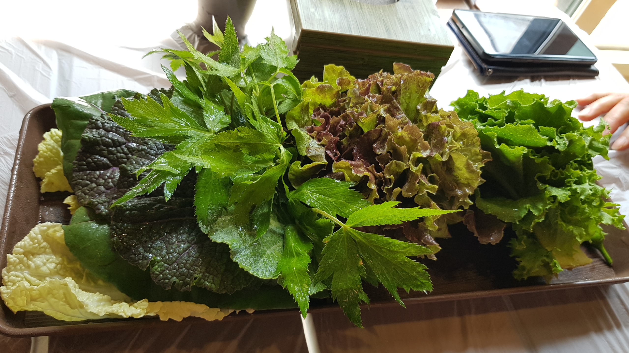 20190816_131103.jpg