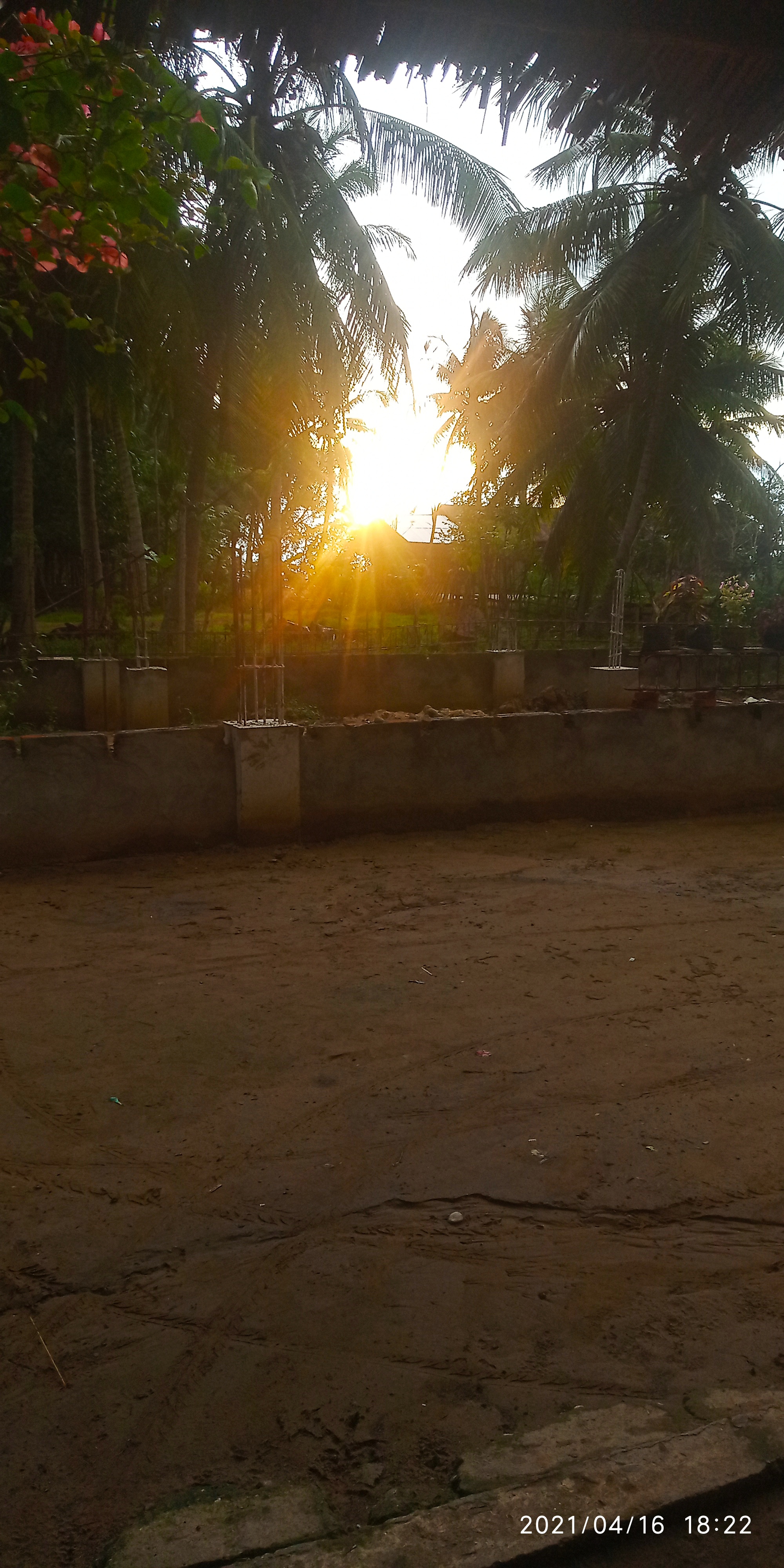 IMG_20210416_201233.jpg