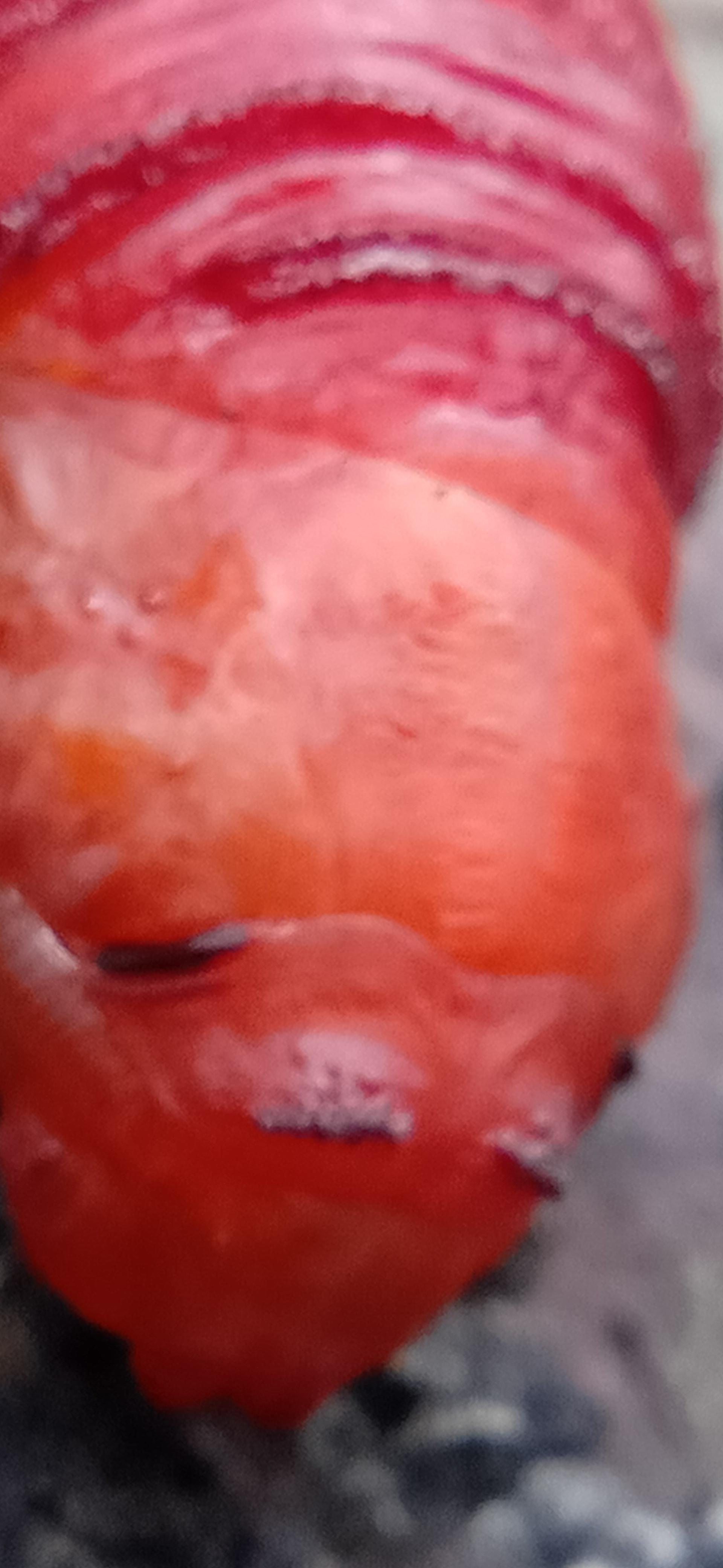 IMG20210508121223.jpg