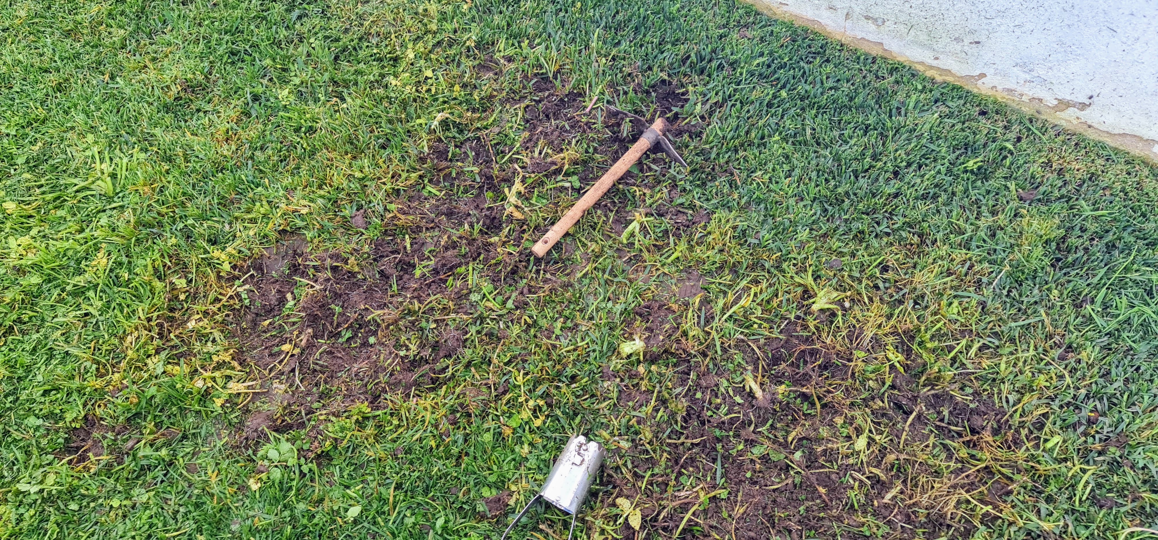 20220322_160817.jpg