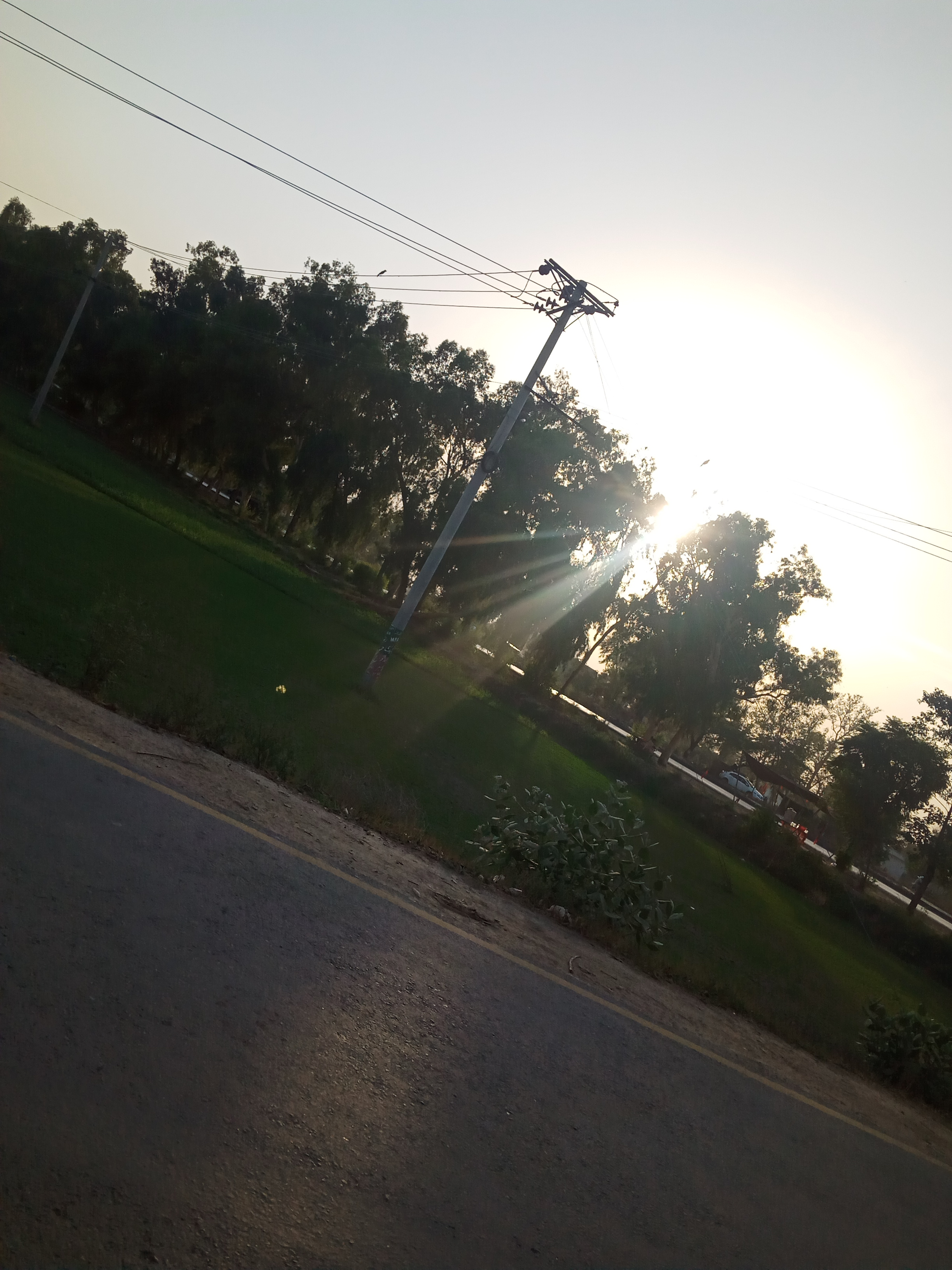 IMG20210619181450.jpg