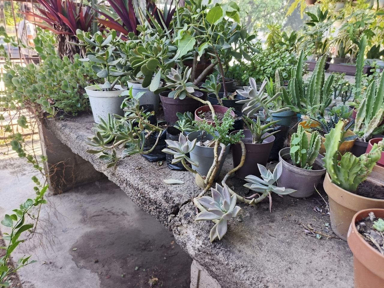 1001549742.jpg