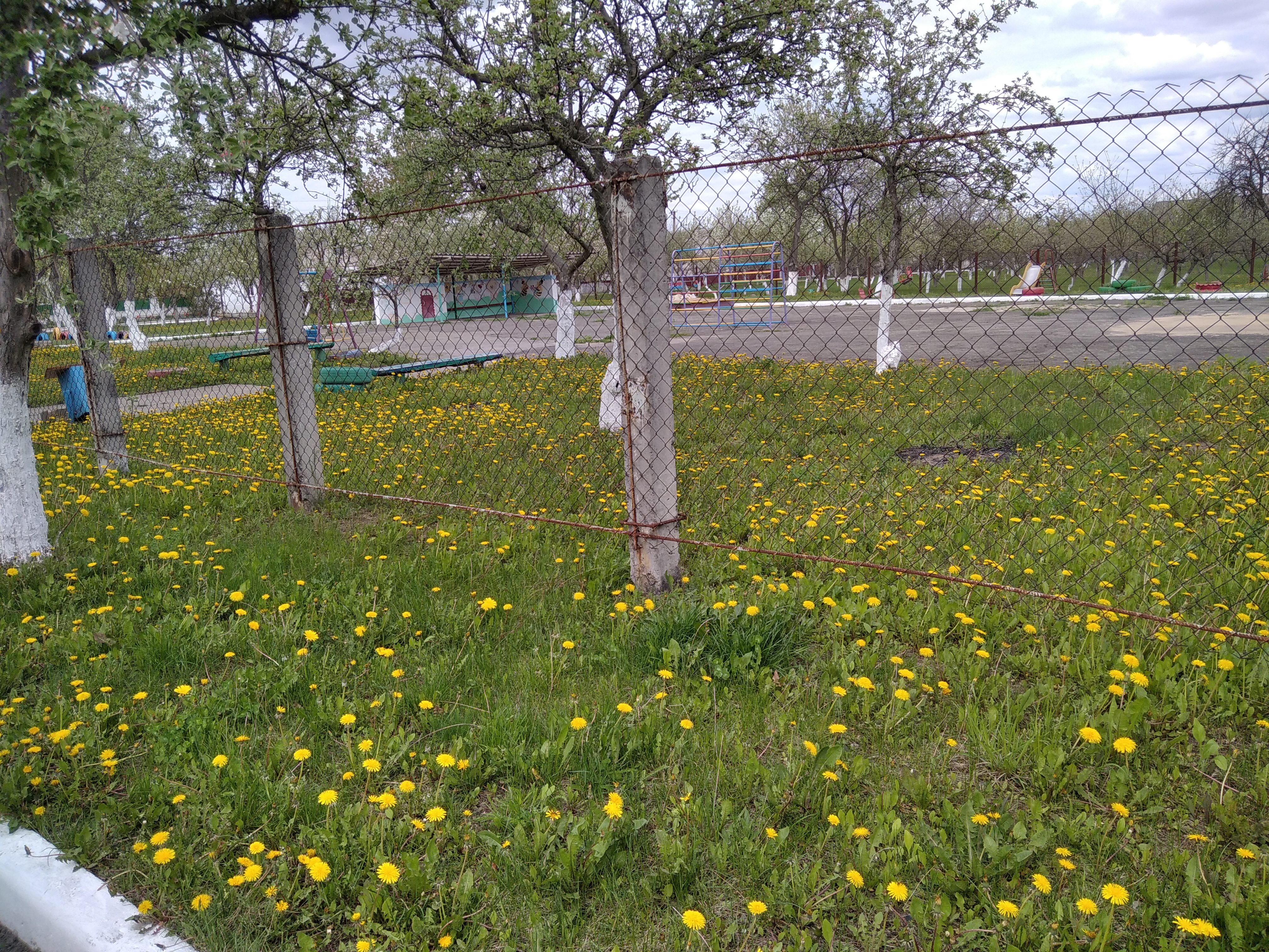 IMG_20220504_144222_1.jpg