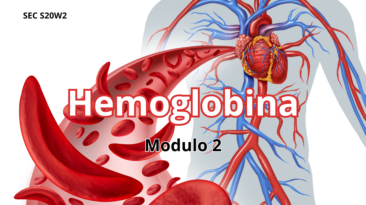 Hemoglobina.png