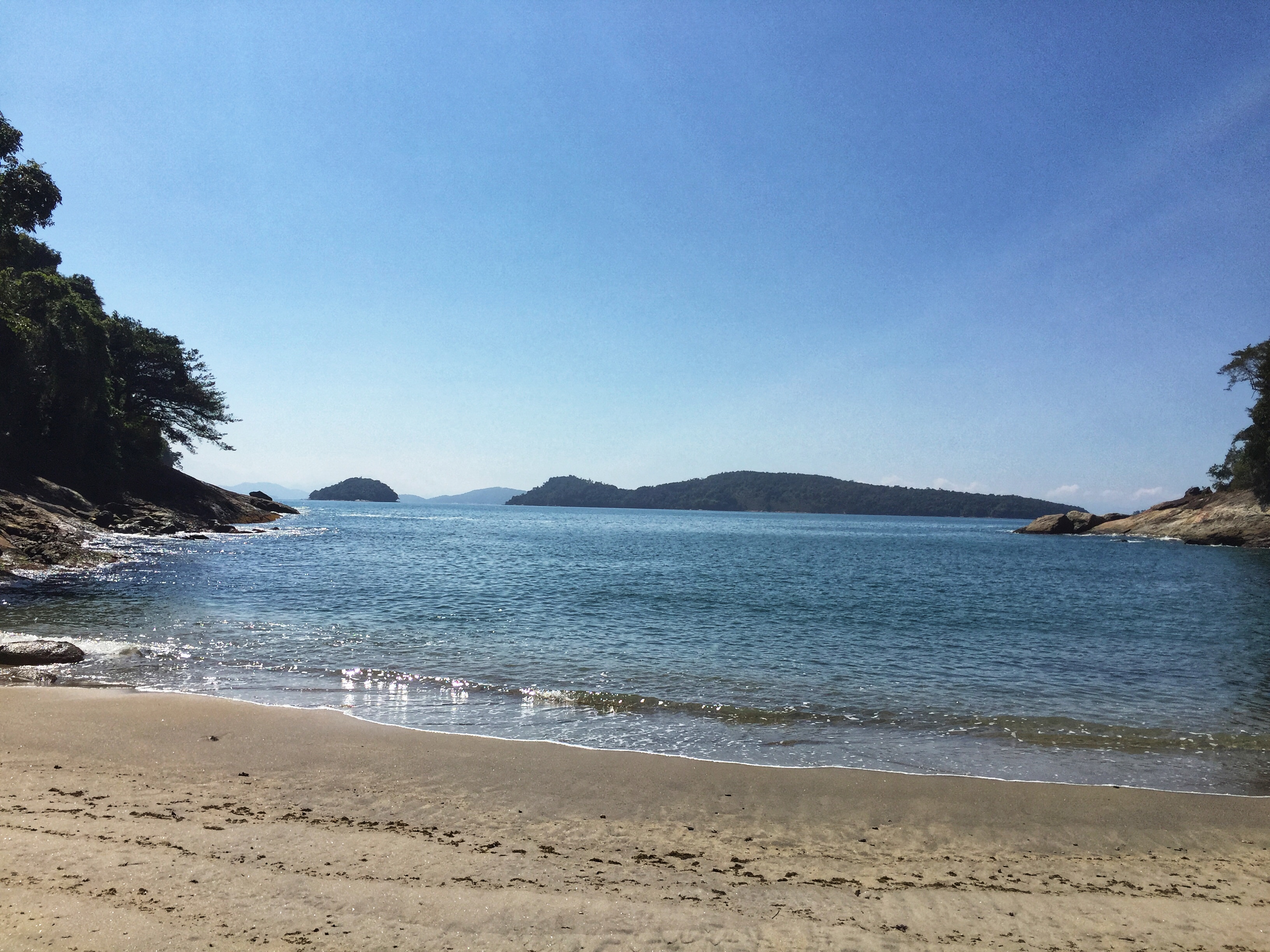 4C0139C3-951A-4971-B930-CB3FAA971972.jpeg