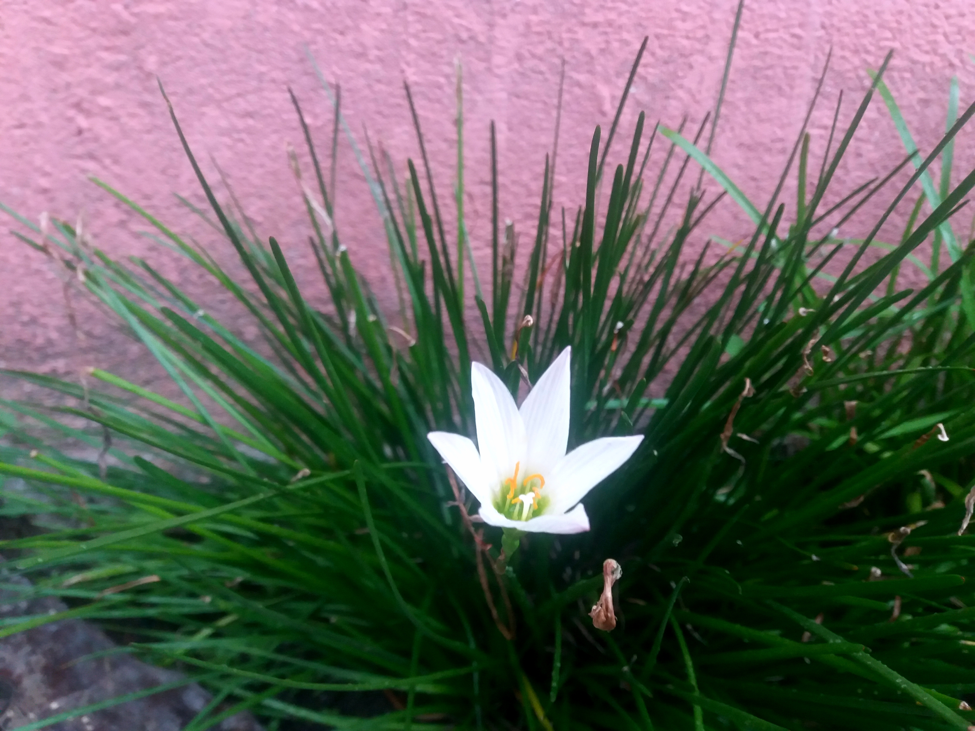 20210426_174413.jpg