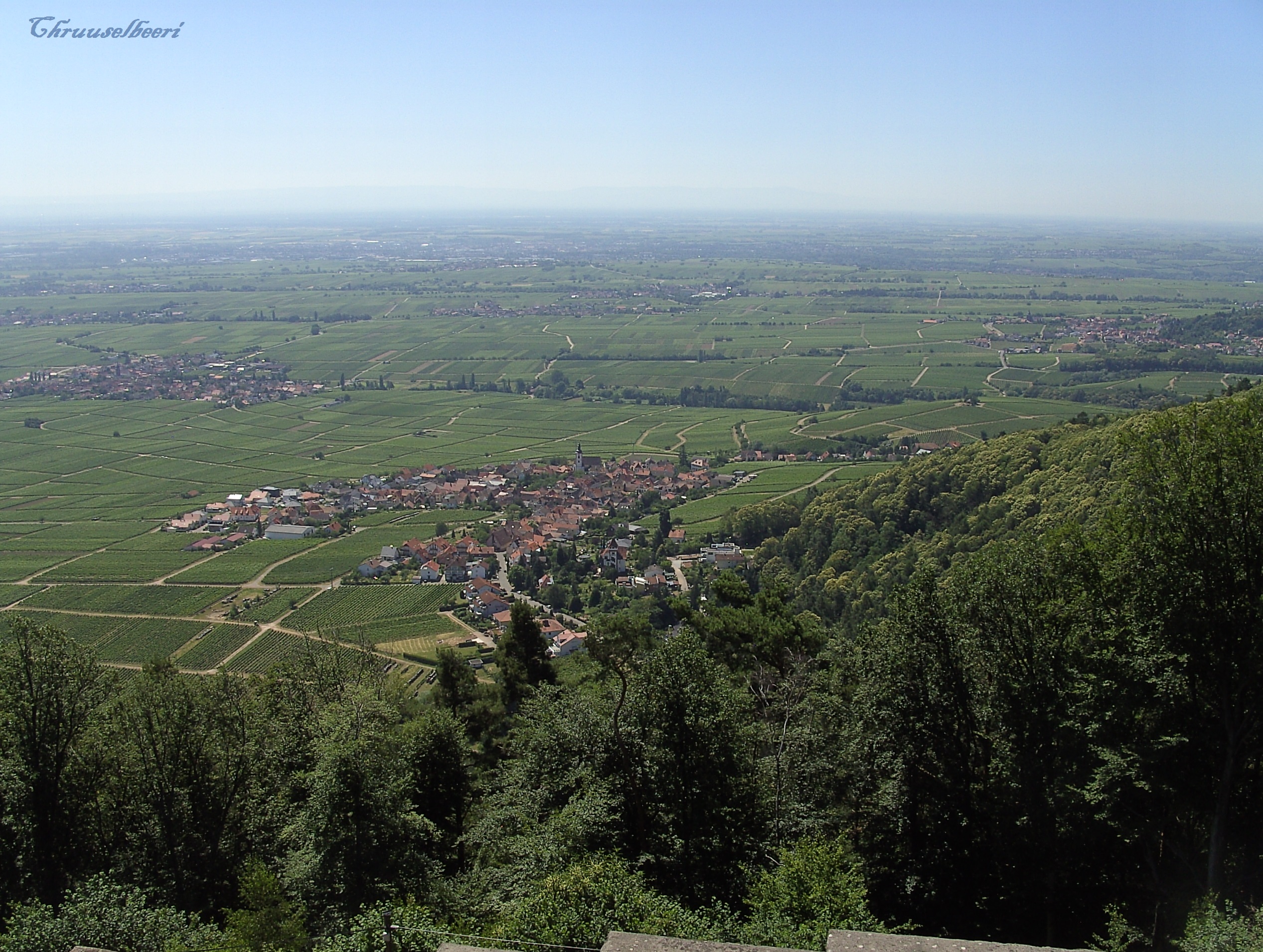 Rietburg_02.jpg