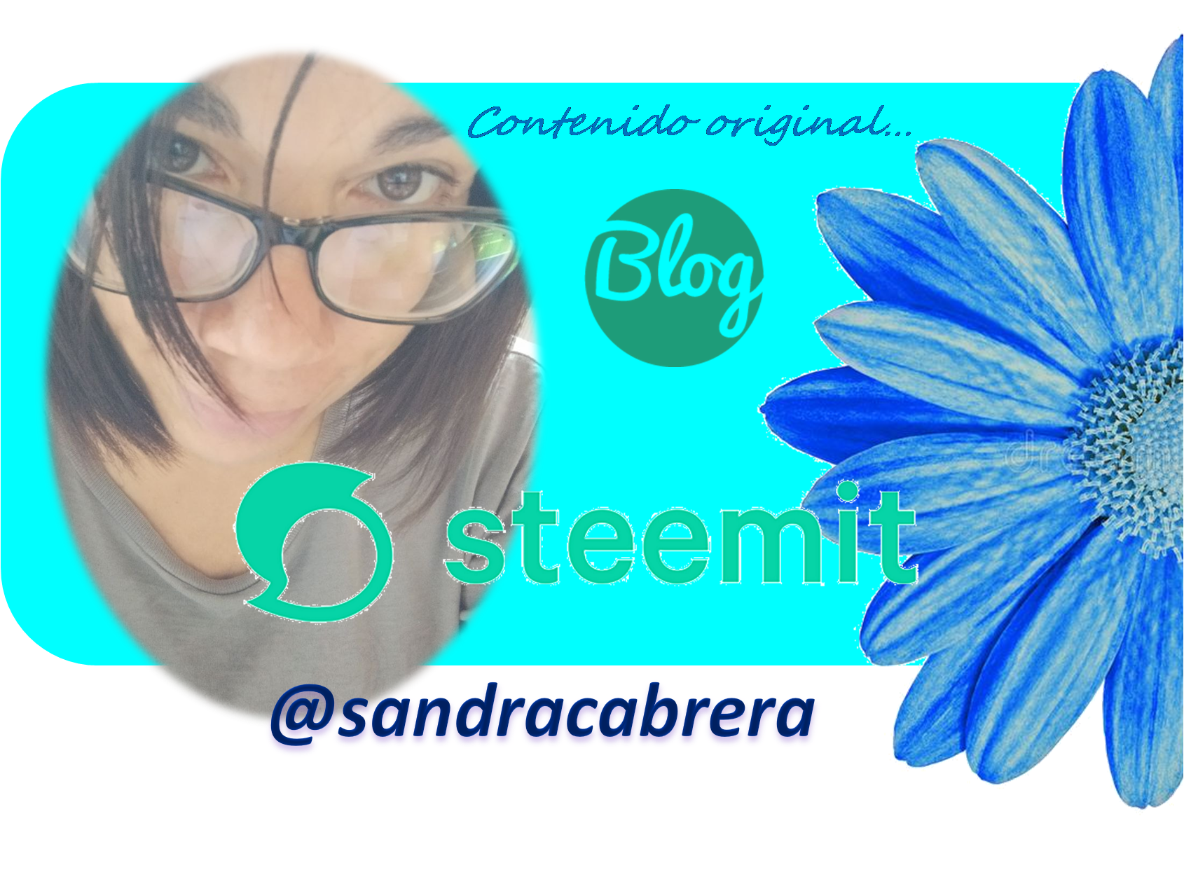 blogsteemirsandra.png