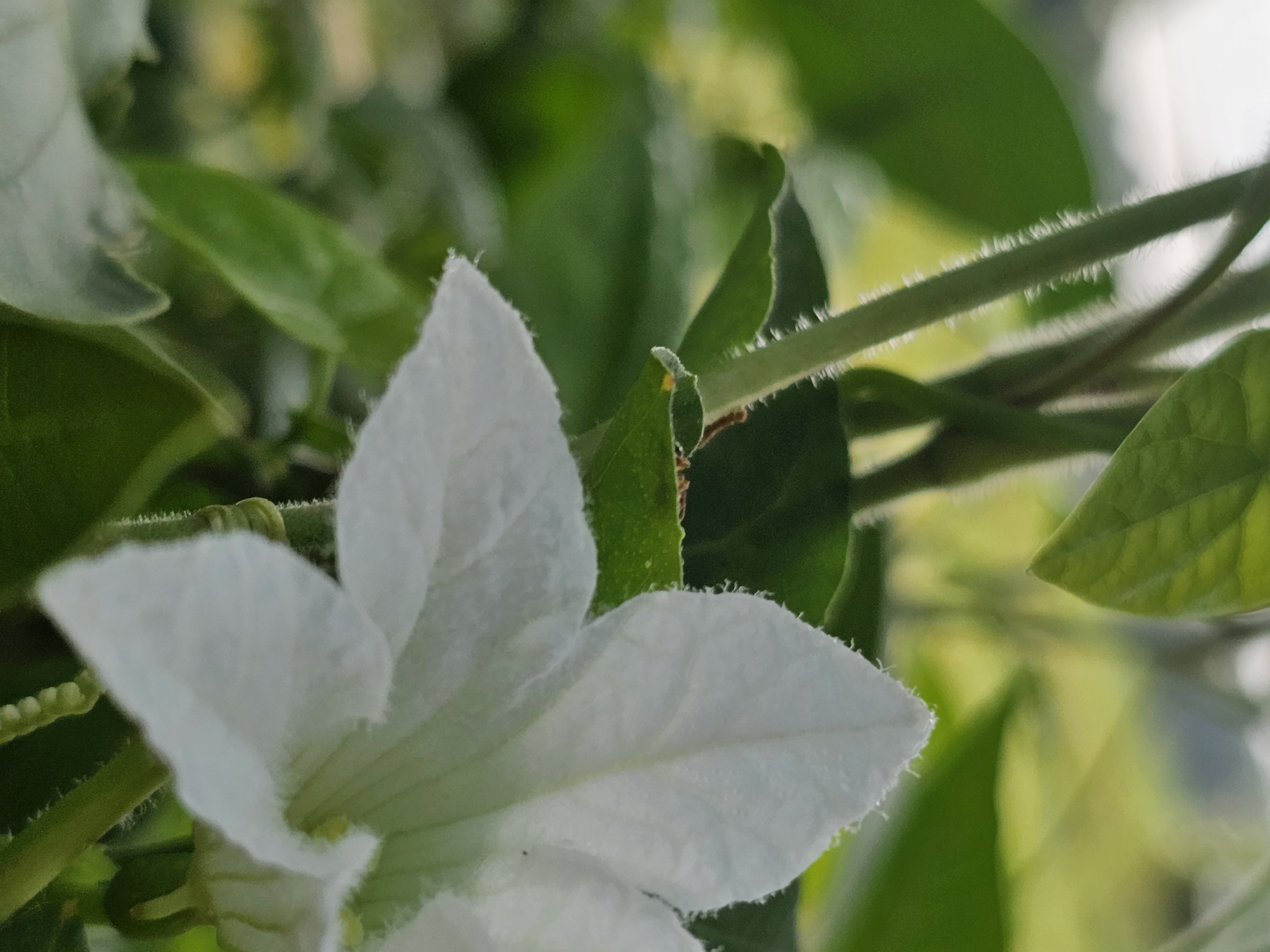 20260513_073547.jpg