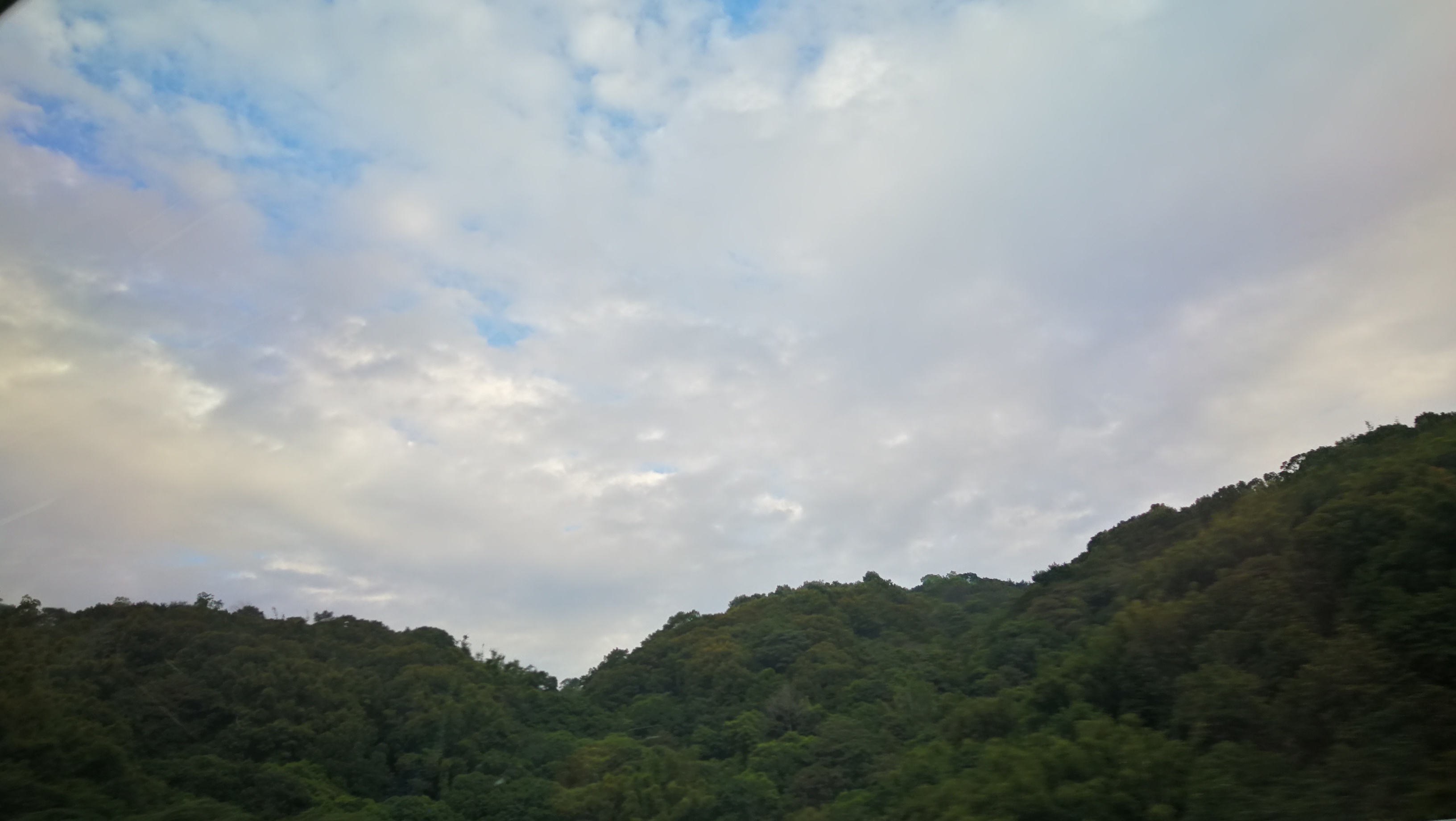 IMG_20191205_080118.jpg