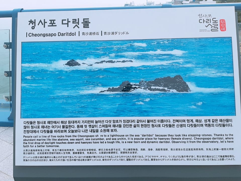 KakaoTalk_Moim_3YrdPi2HusYTPDkd4vnXHm67wd6FdE.jpg