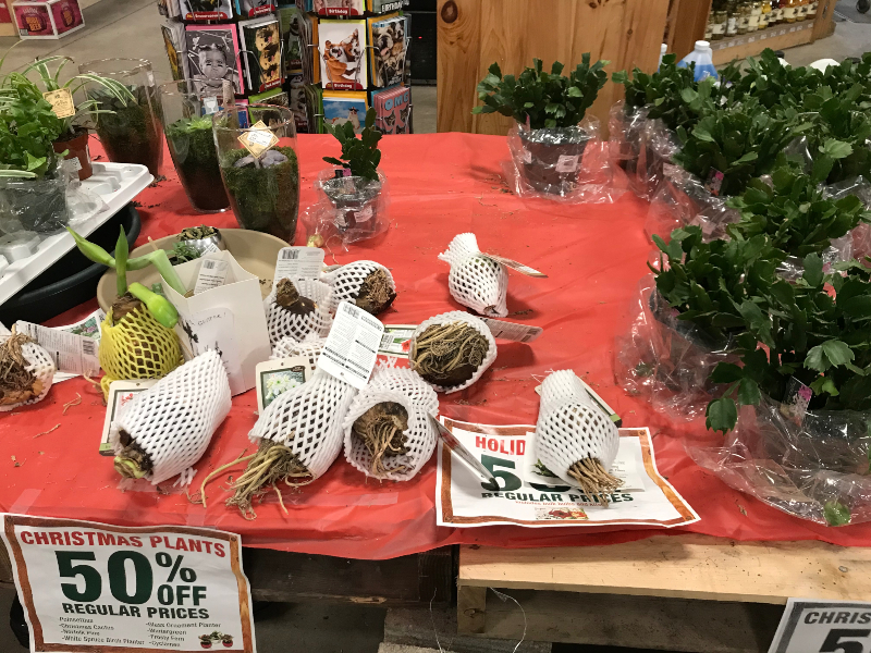 marketfriday 4.jpg