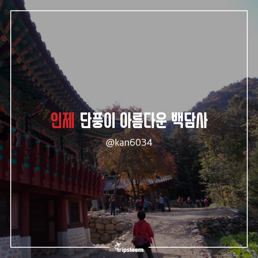 tyle-mlf-4-1541338212.png