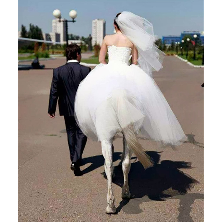Did this man just marry a half-woman half-horse No, luckily for him itās just a bride on a horse with a very flowy dress. Great optical illusion, though..jpg