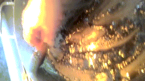 Gif31.gif