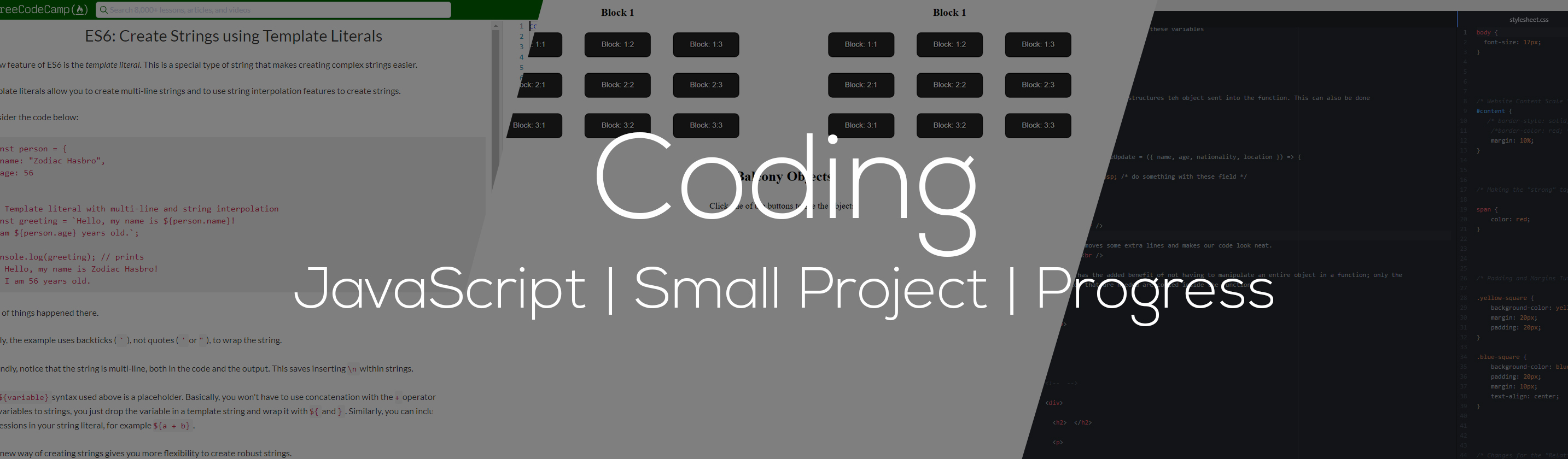 coding.jpg