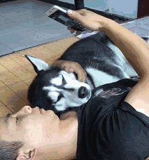 jike_100610035183605_pic.gif