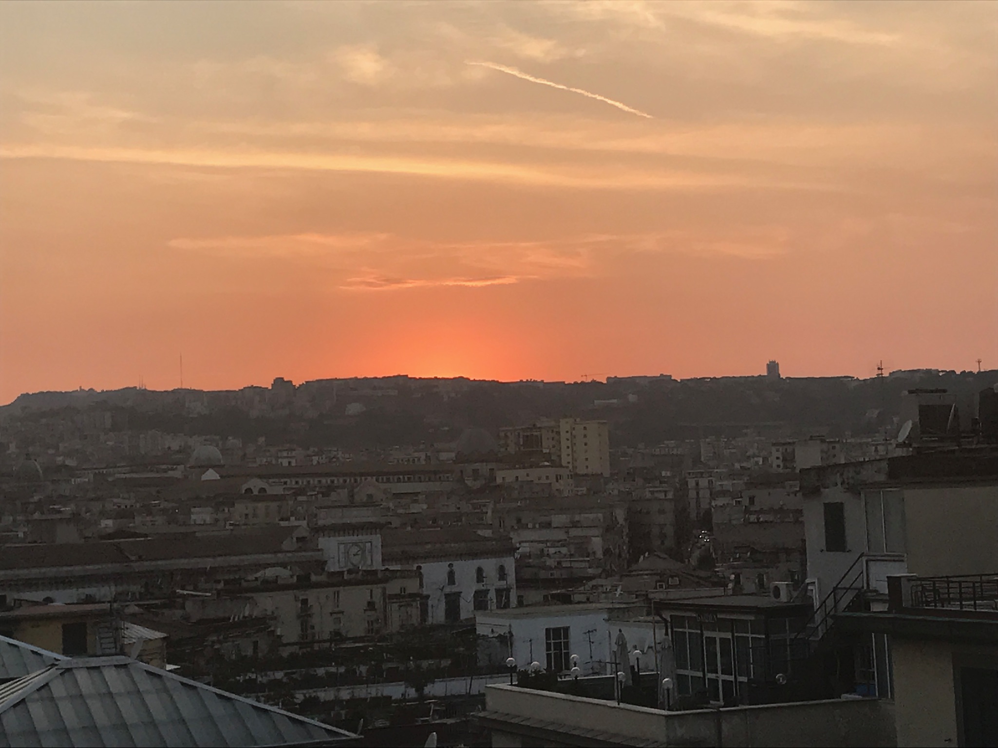 1EFA89DD-DF2E-4A51-8123-BAF4531036C4.jpeg