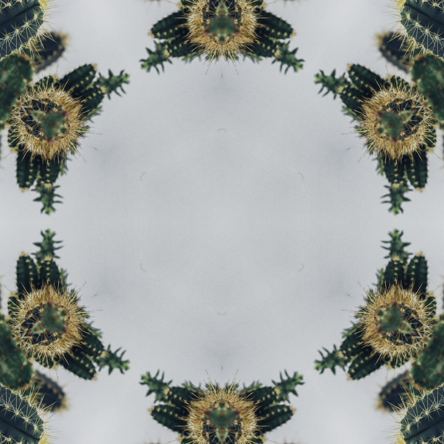 image3A16957_mirror.png