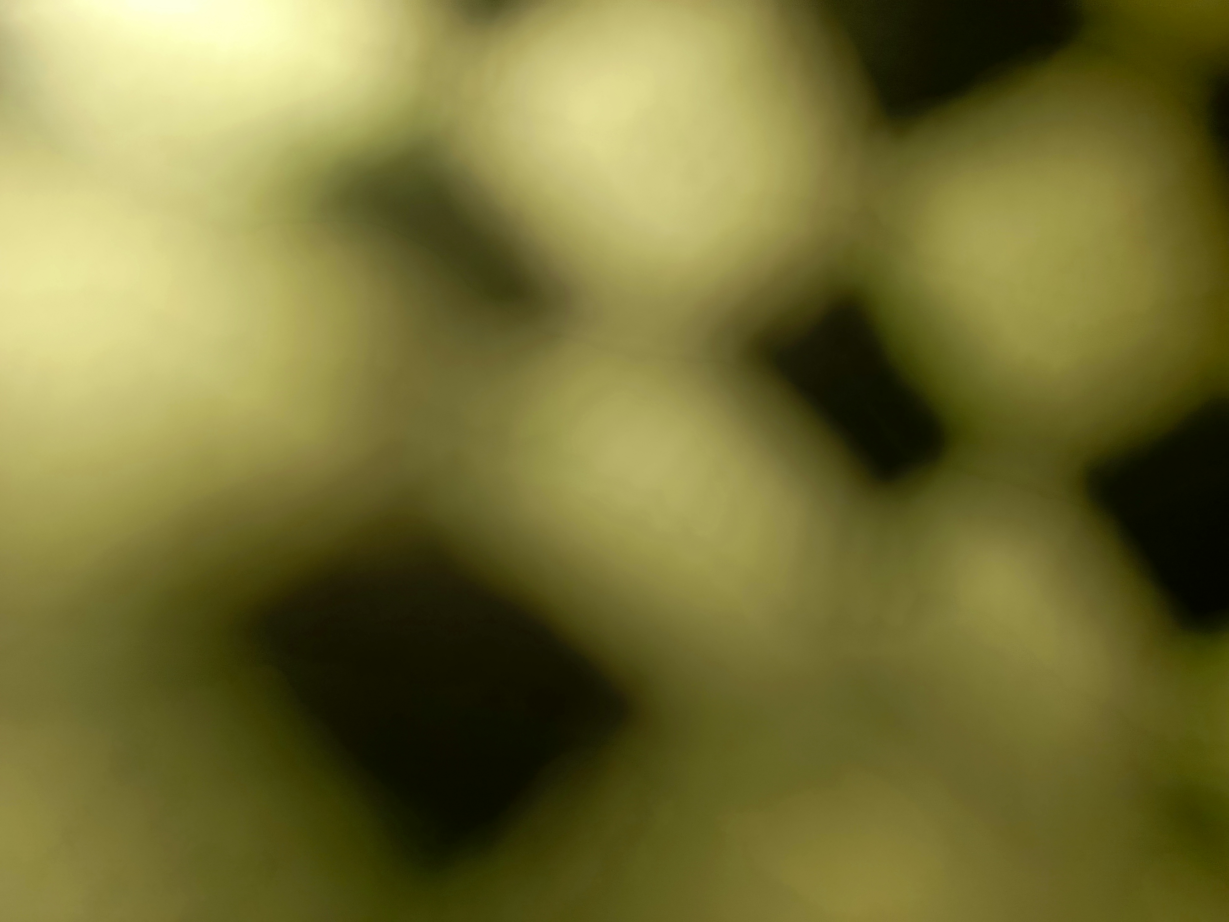 1000664792.jpg