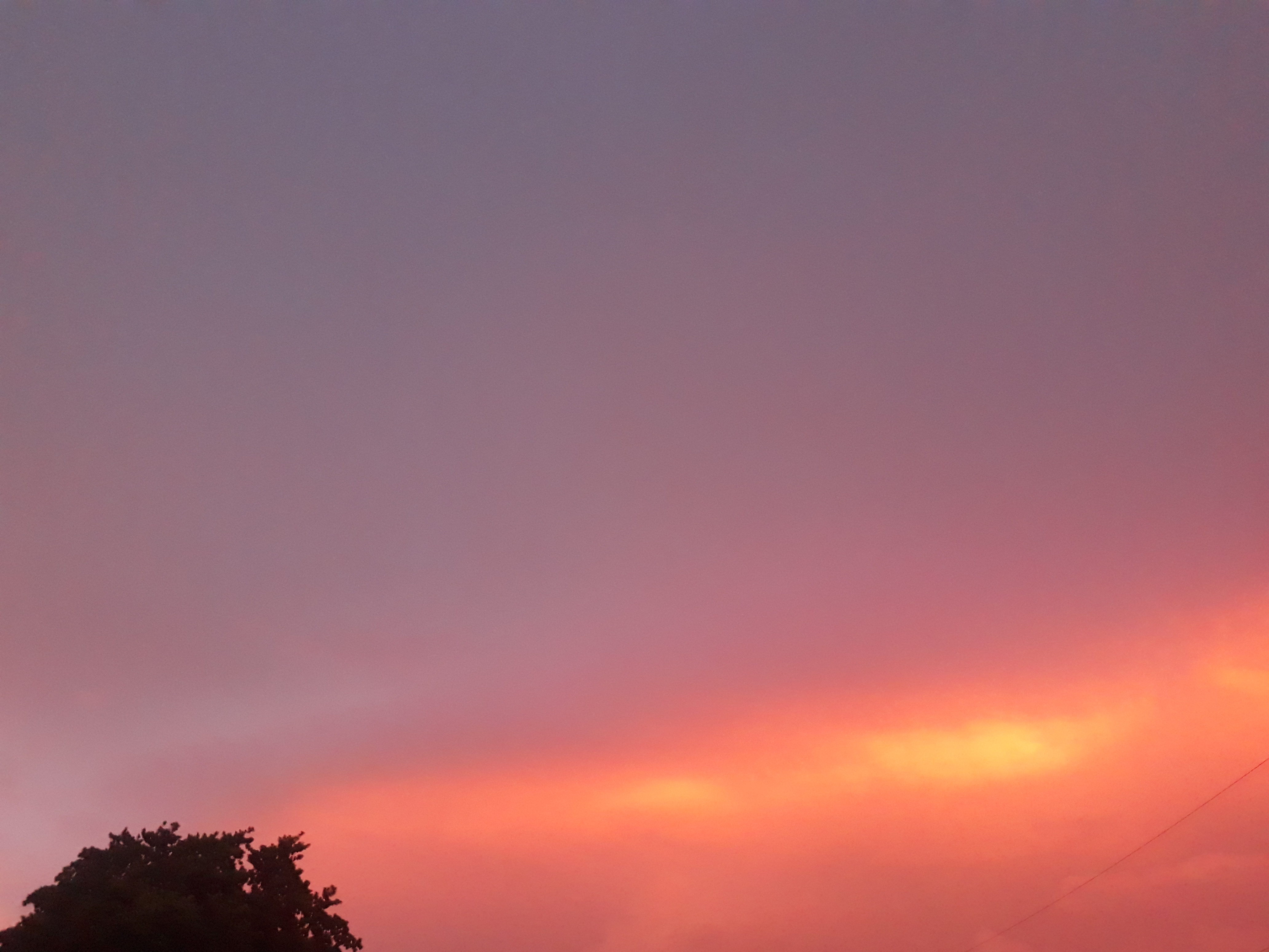 20180624_191807.jpg