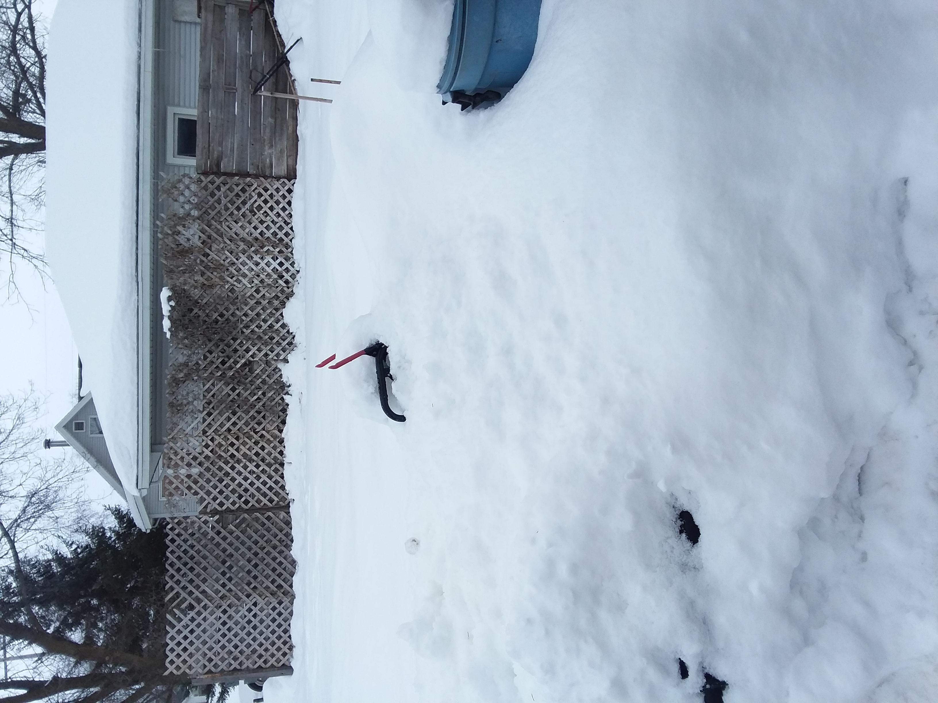 20190301_140113.jpg