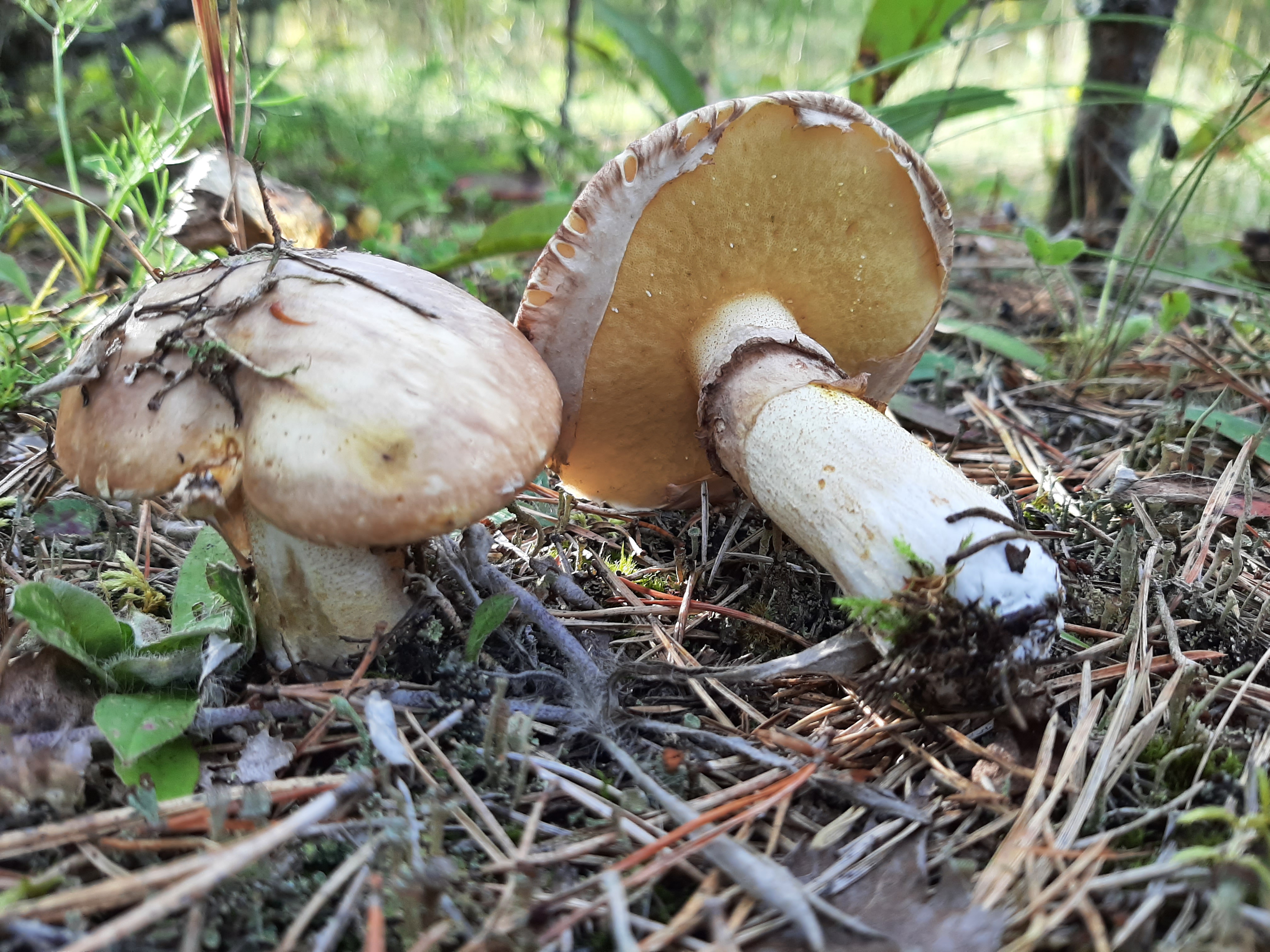 20260828_174504.jpg