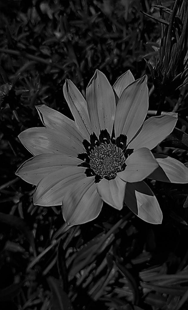 20190804_135243.jpg