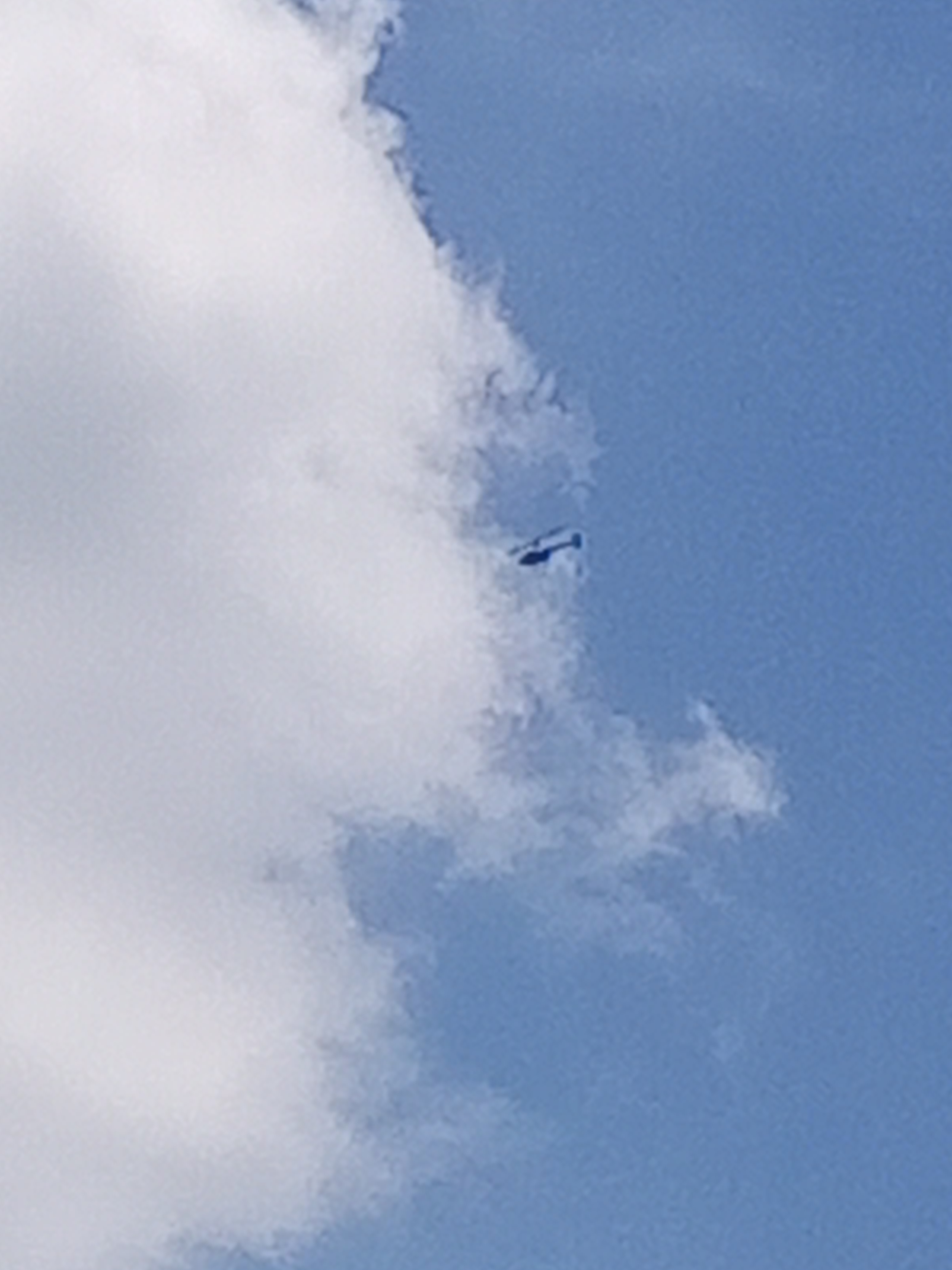 IMG_20230407_120759_017.jpg