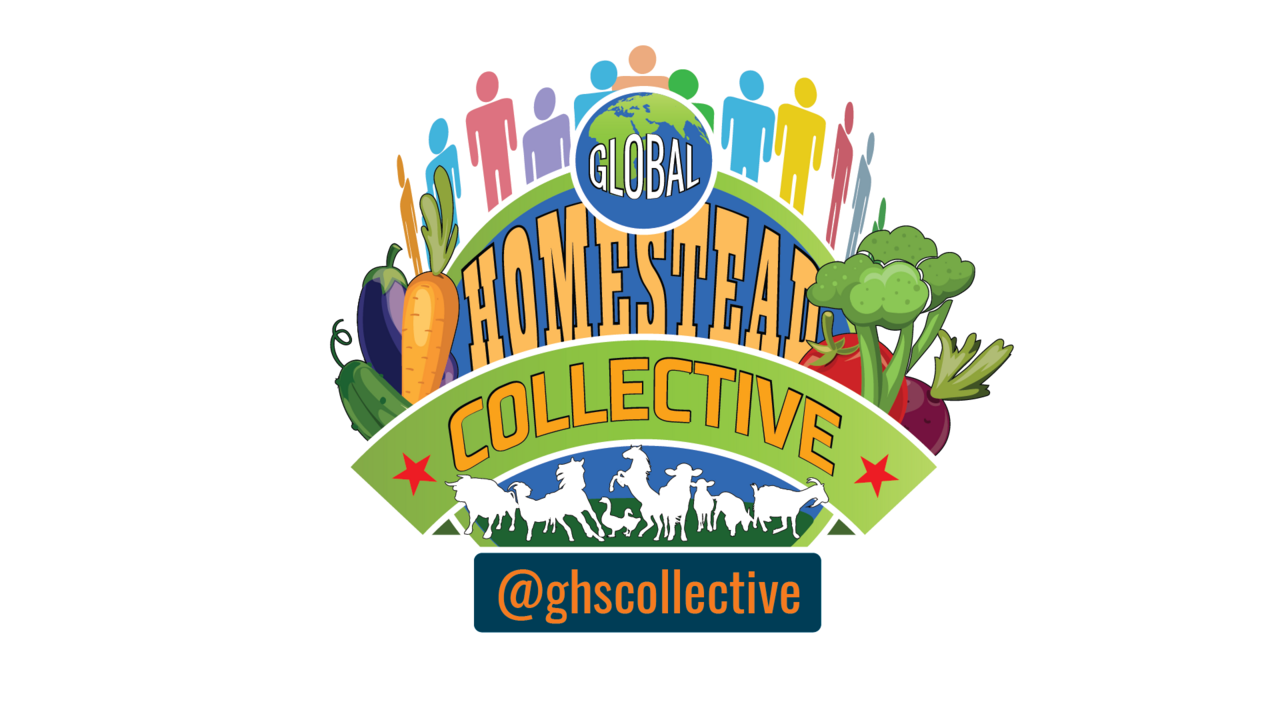 ghscollective_logo-01-1-2-1.png