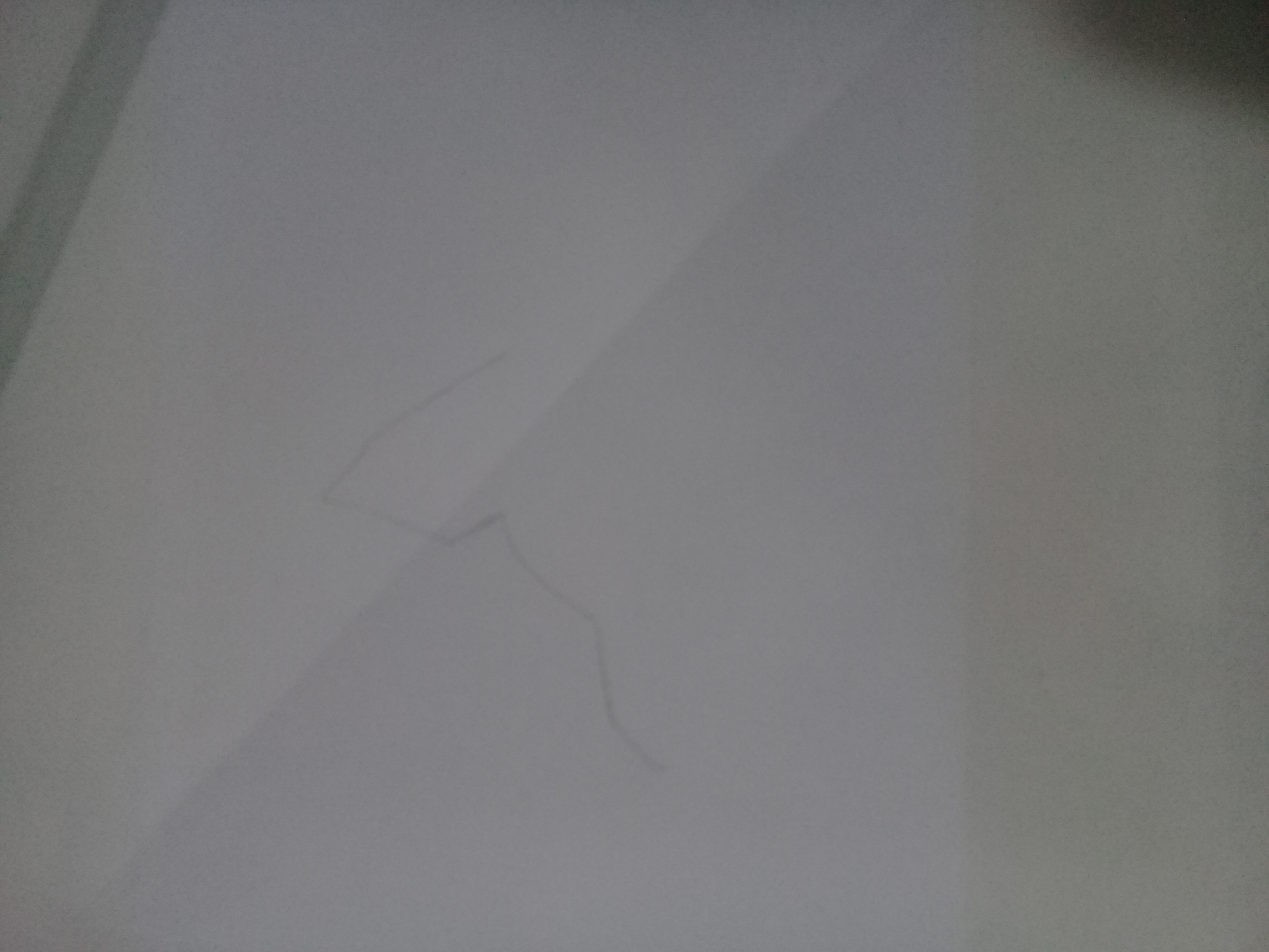 20210310_145211.jpg