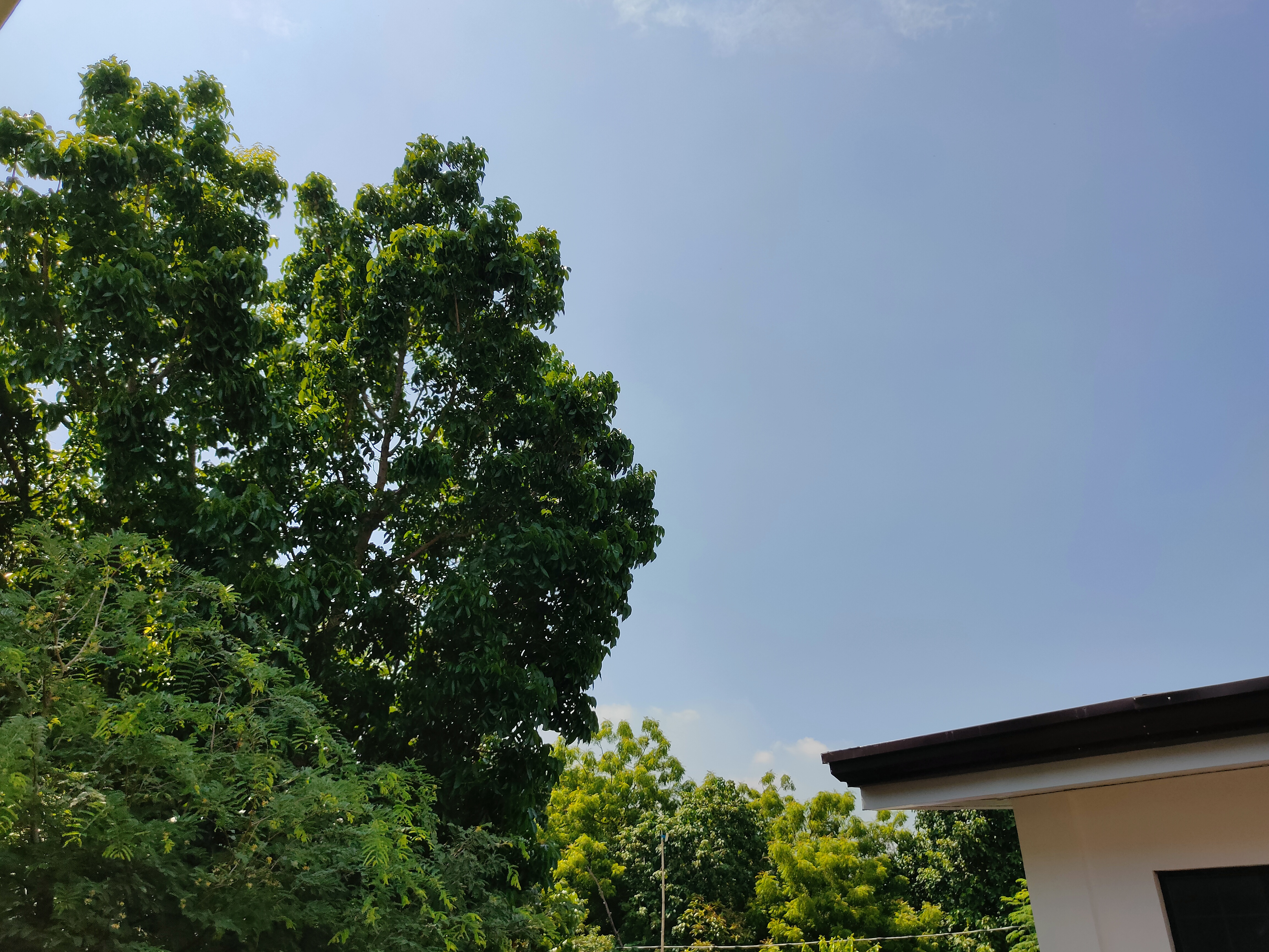 IMG20210527094825.jpg
