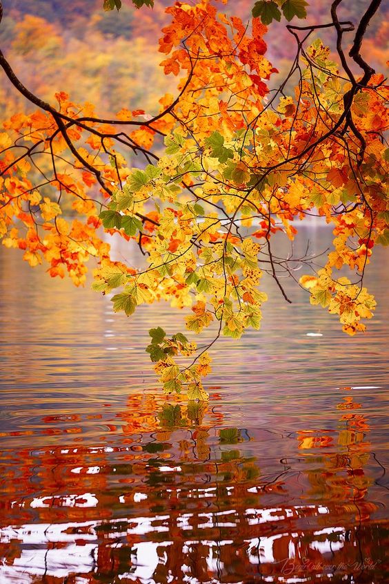 صور-مناظر-طبيعية-hd.jpg