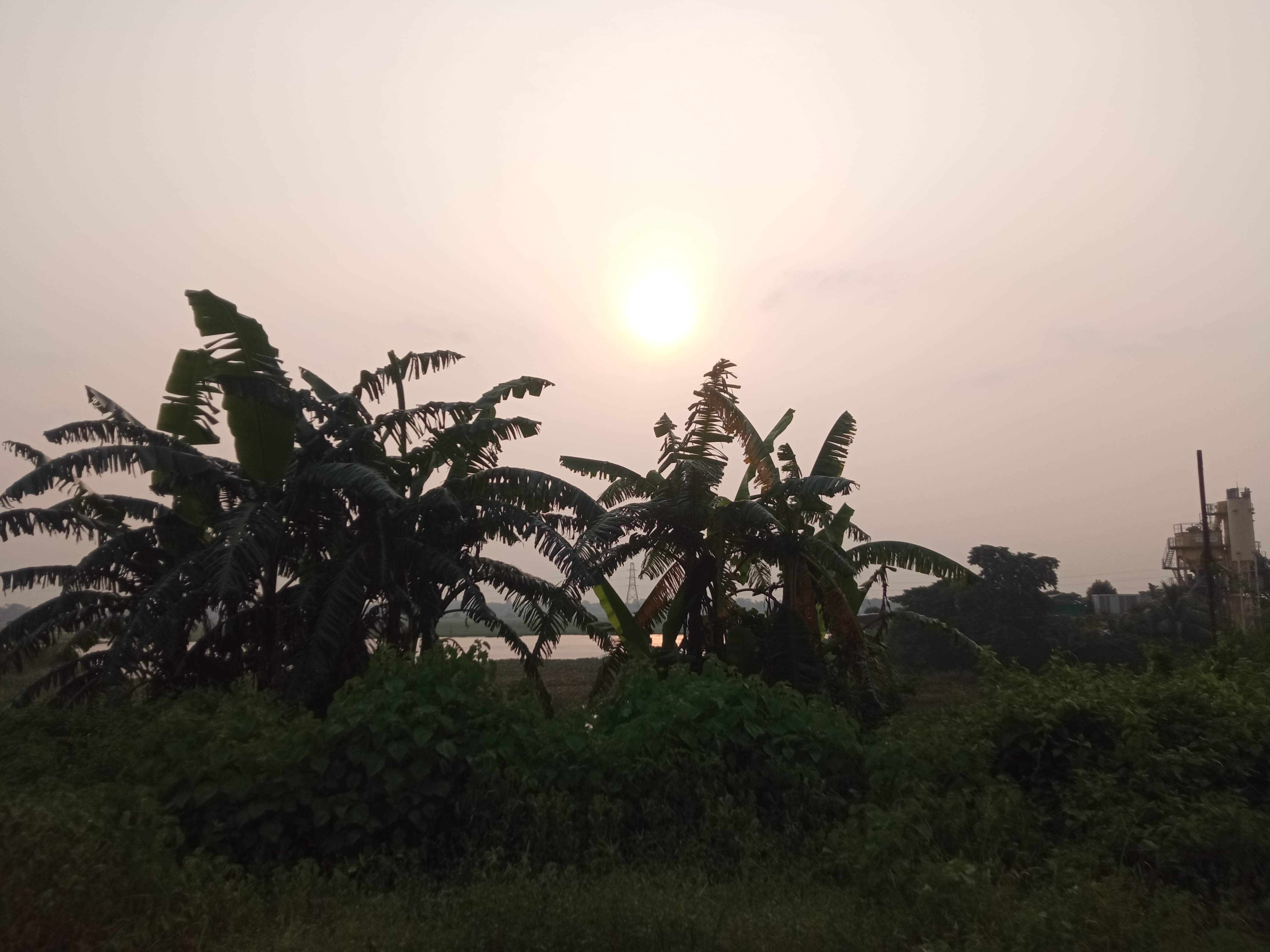 somoy (1).jpg