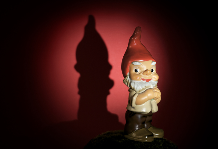 zwerg-gettyimages-182463880.jpg