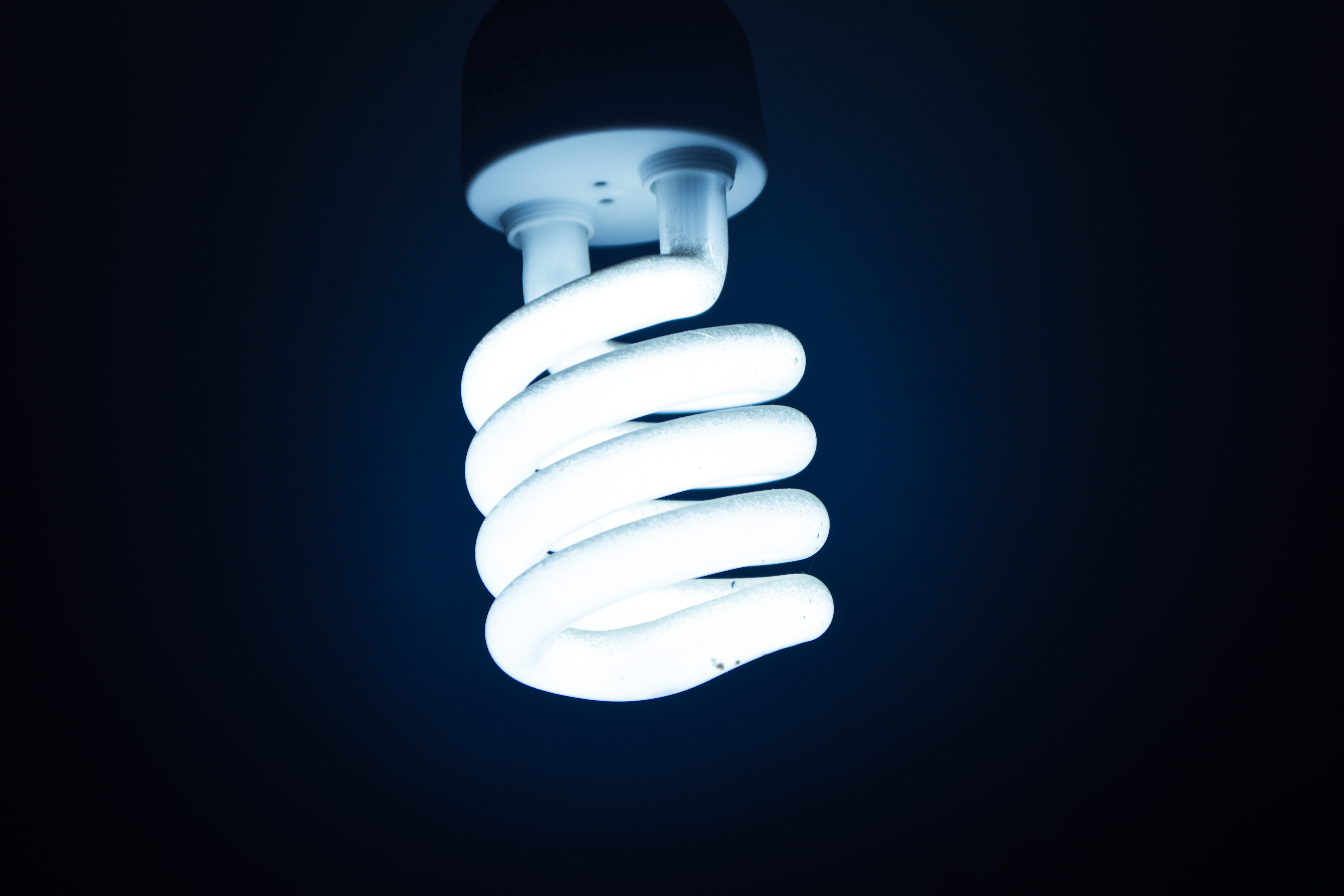 LED Bulbs.jpg