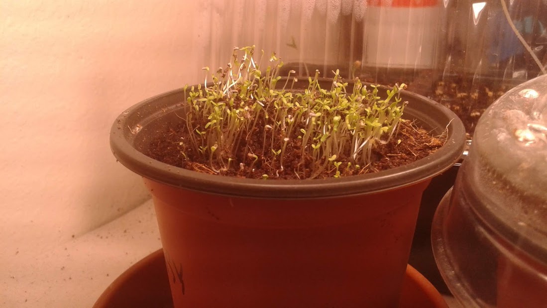 20190117_160058.jpg