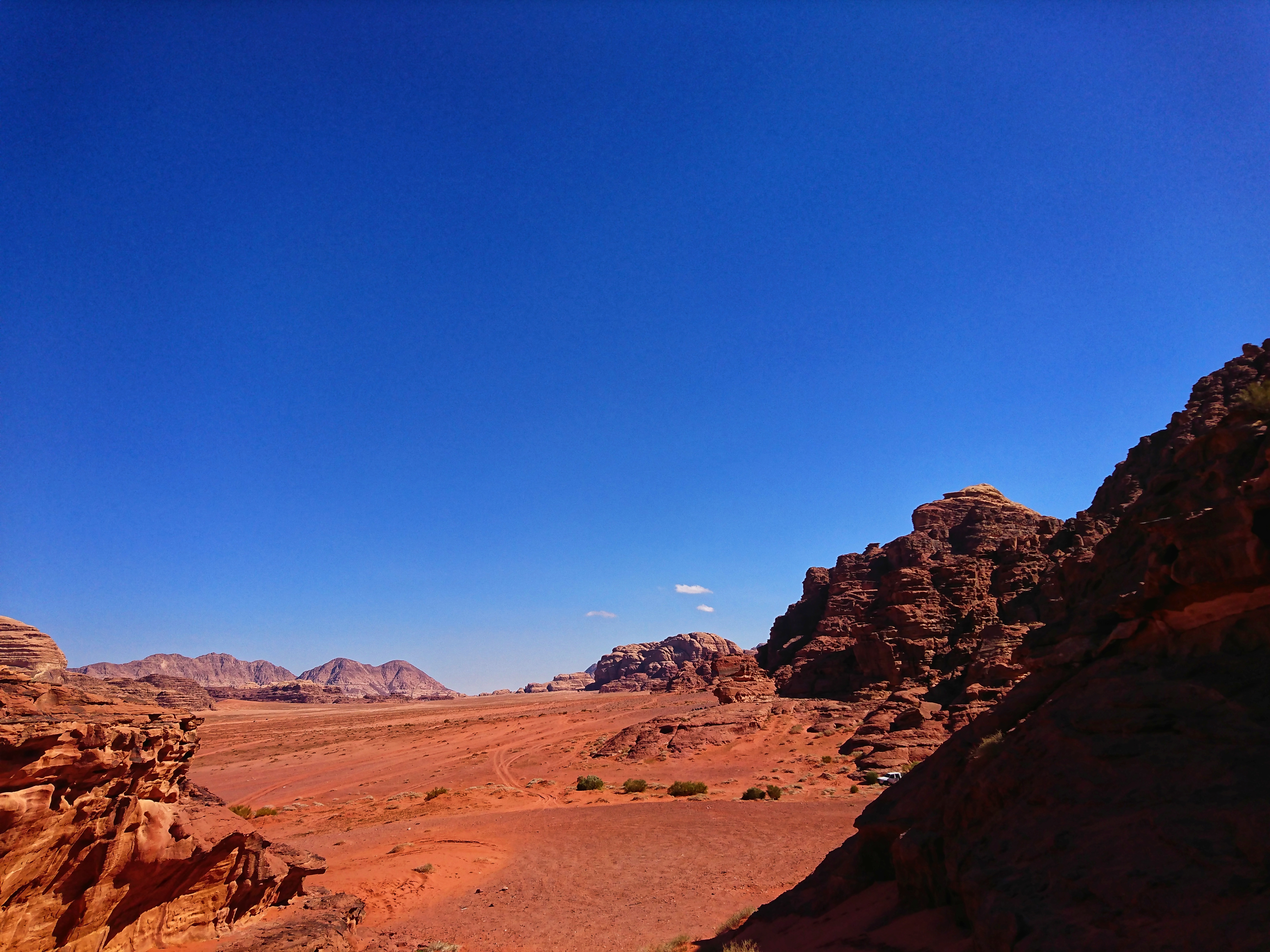 DSC_0609-01.jpeg