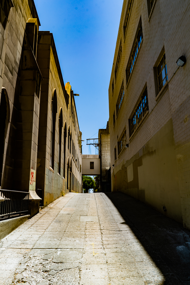 DSC05396.jpg