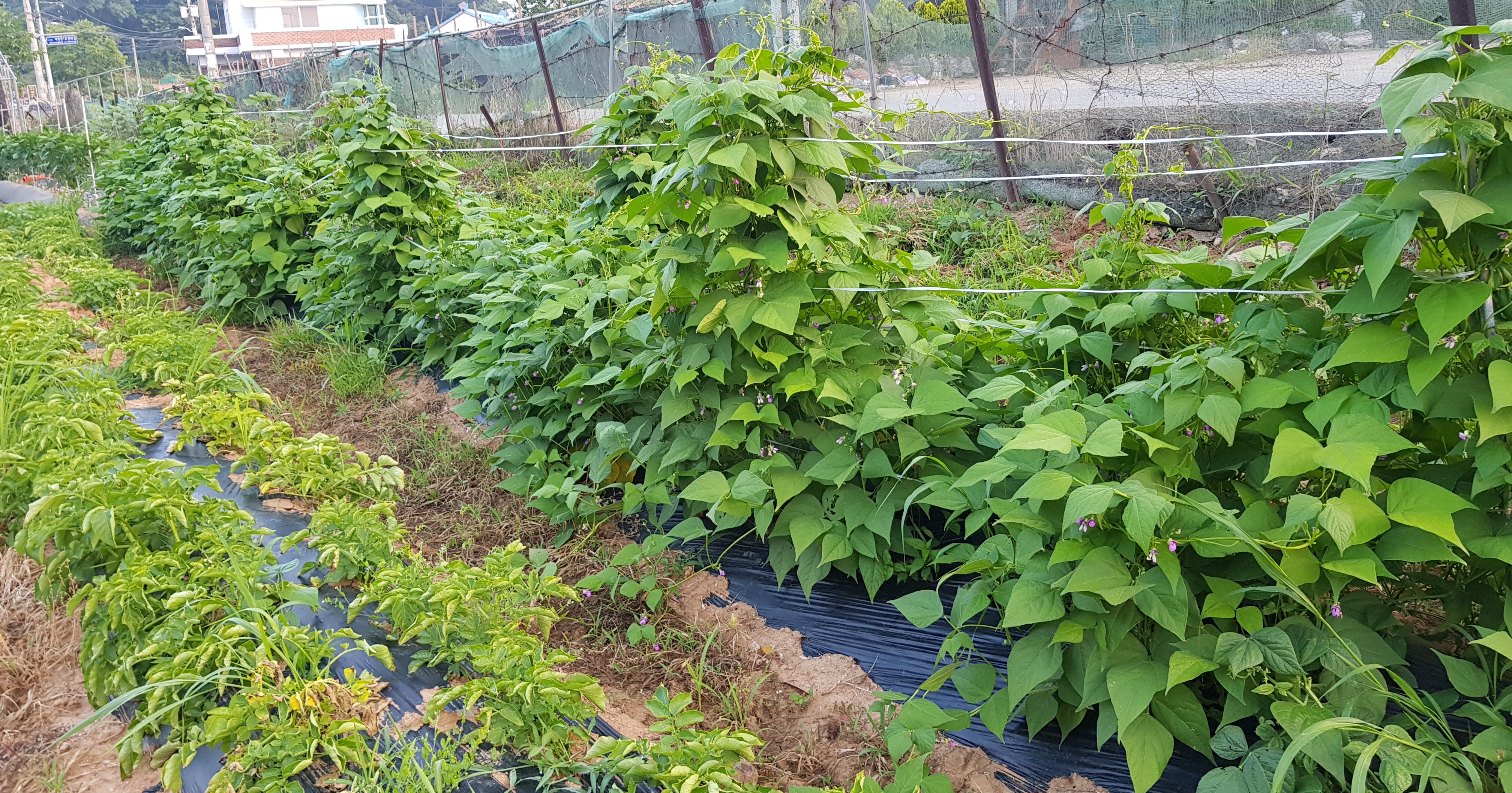20190619_013026.jpg