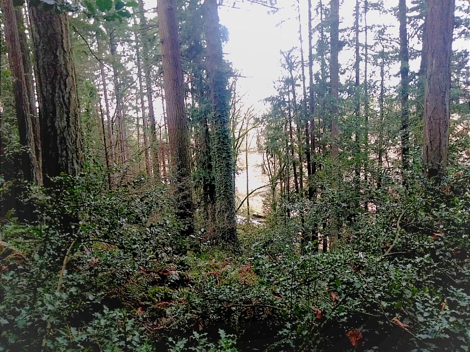 download_20190114_202158.jpg