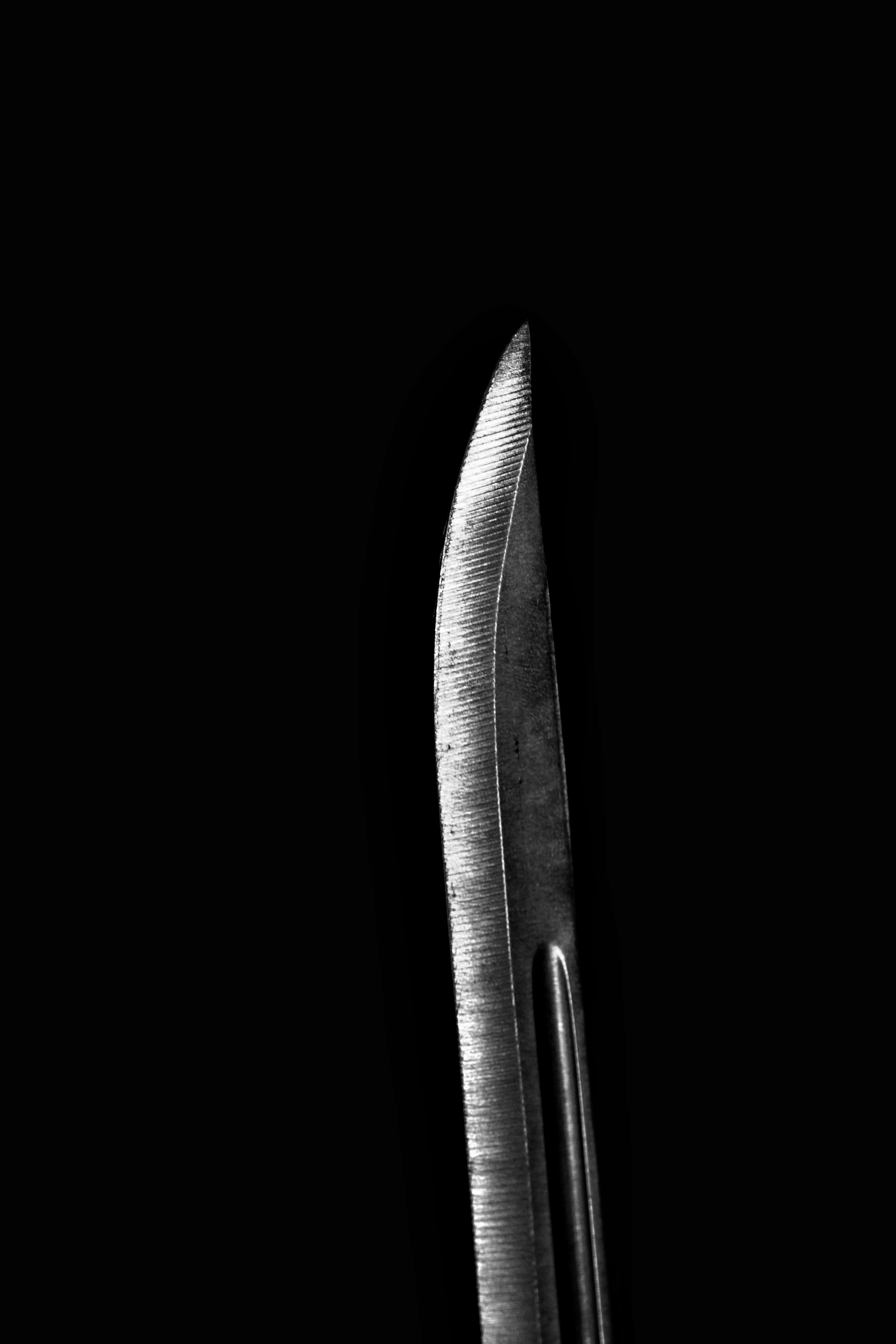 sandip-kalal-vFYsuegGYrA-unsplash.jpg