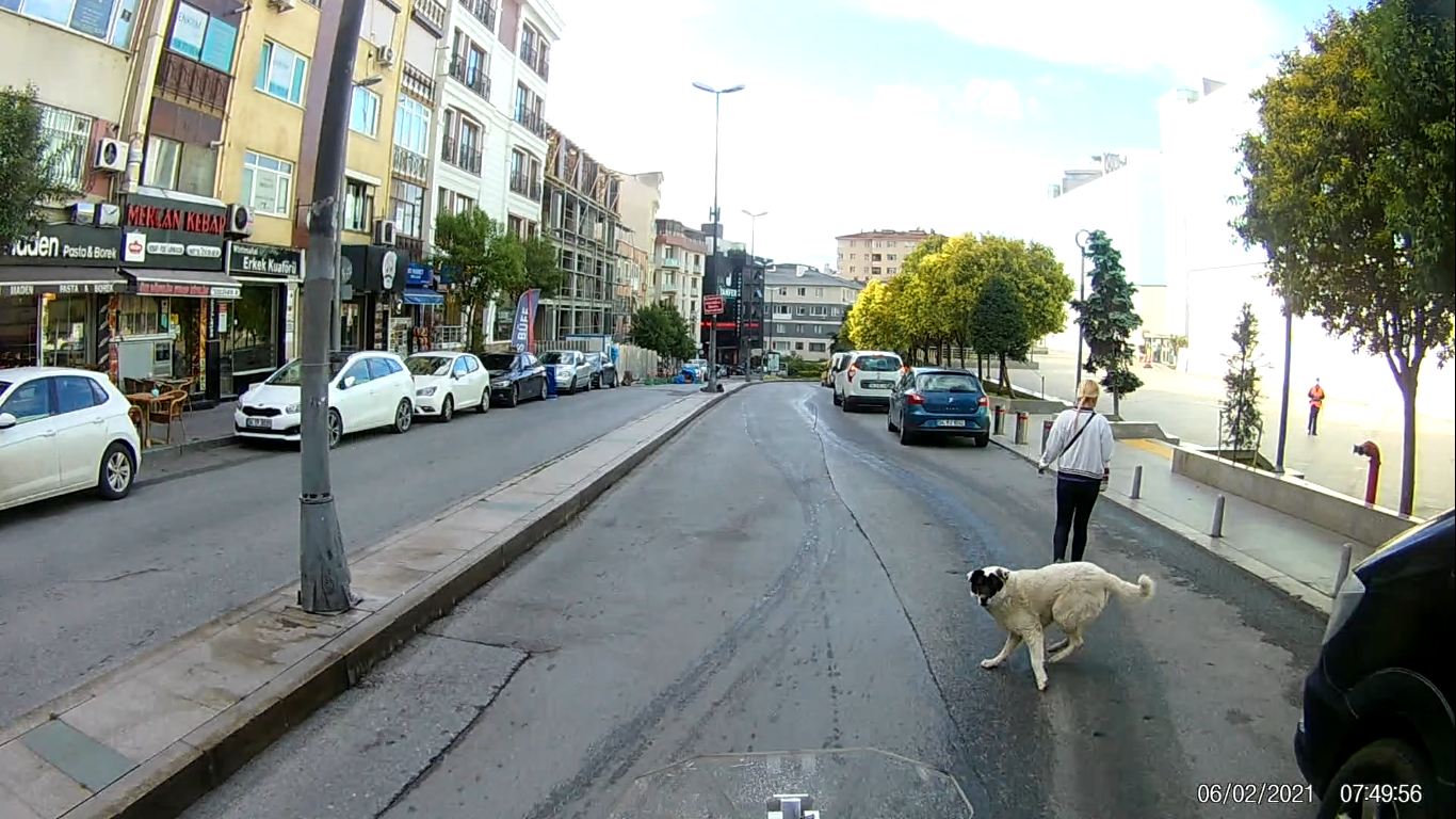 0749.png