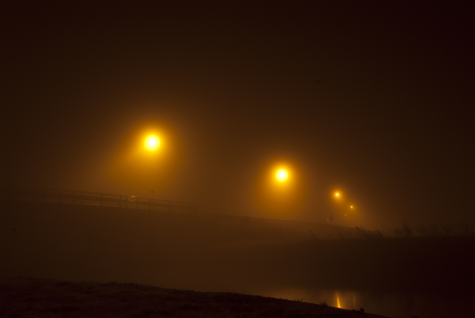 DSCF6514.jpg
